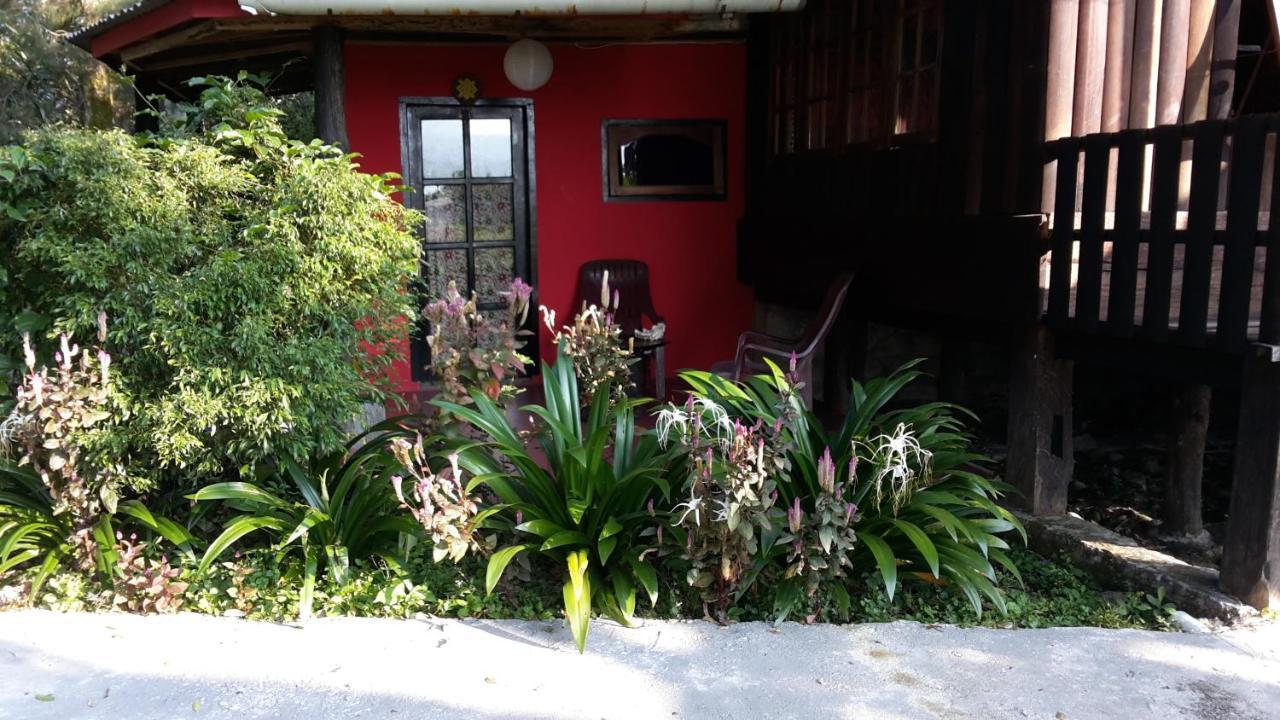Liberta Homestay Tuktuk Siadong Exterior photo